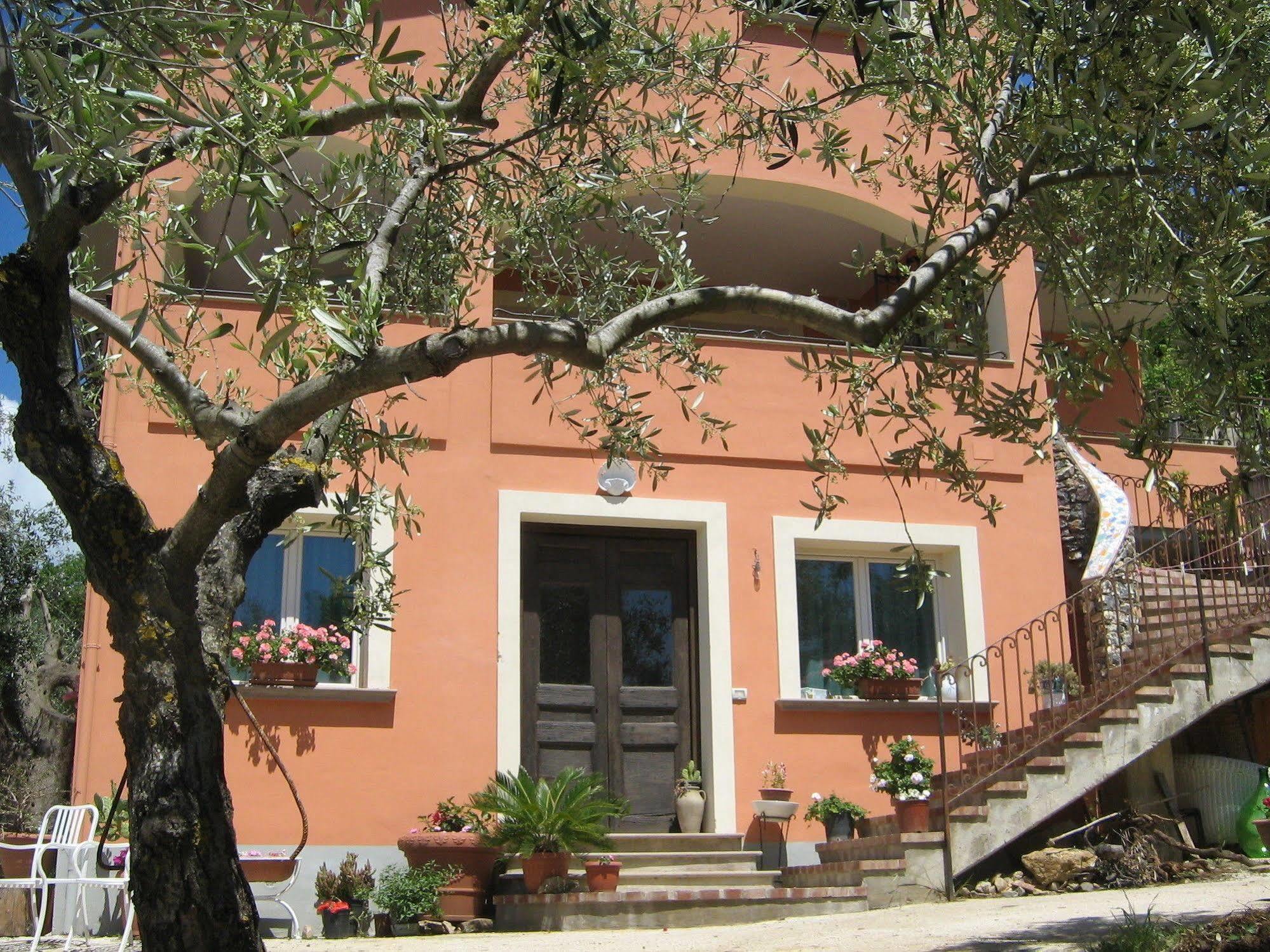 Villa Santa Sofia Ascea Eksteriør billede